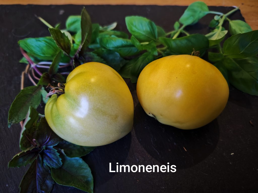 Limoneneis