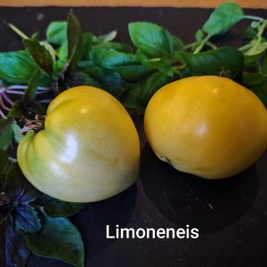 Limoneneis
