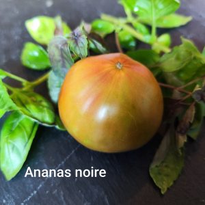 Ananas noire