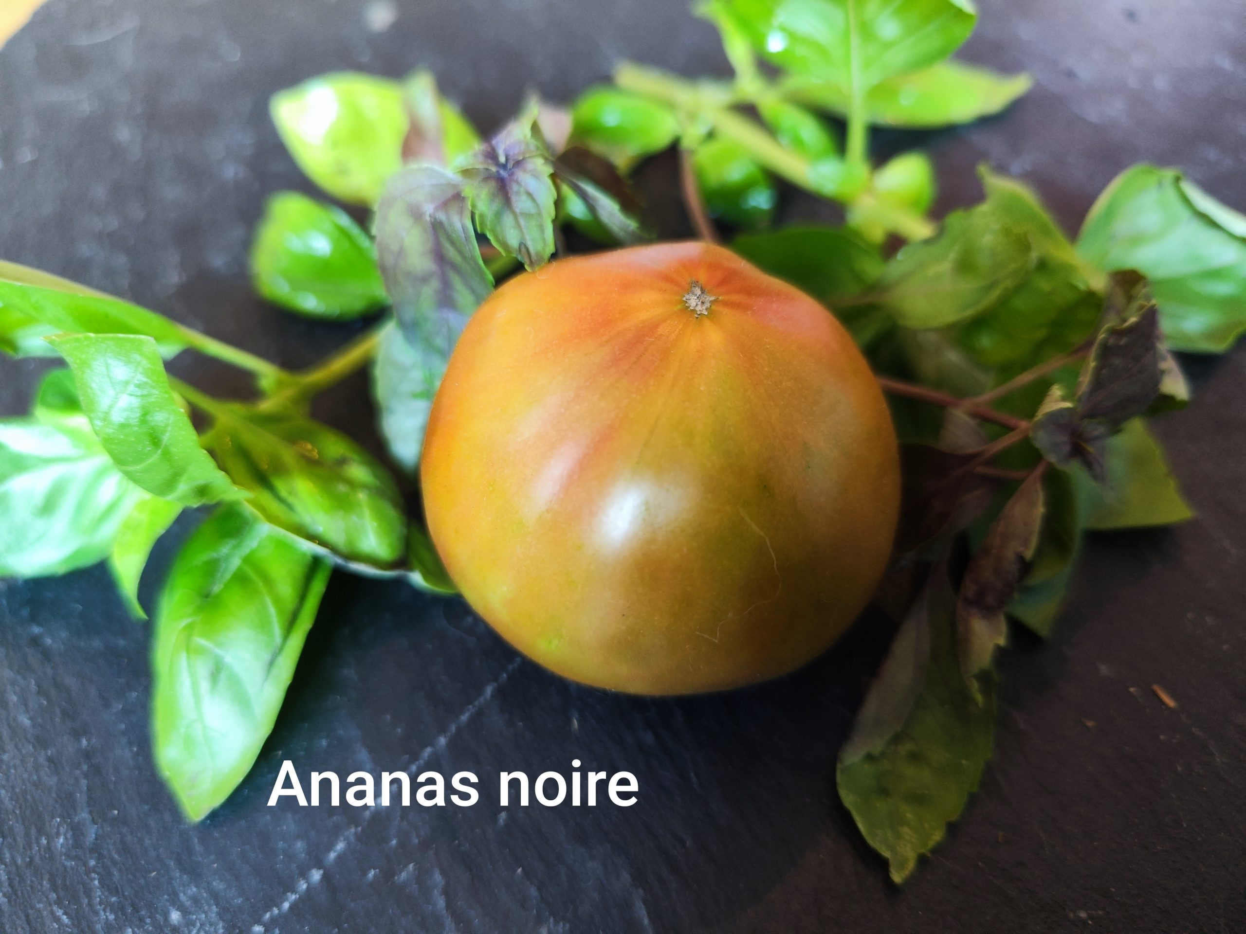 Ananas noire