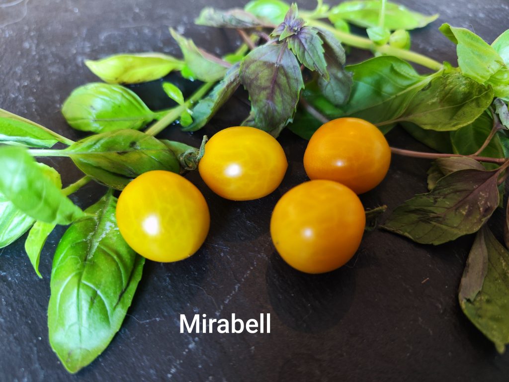 Mirabelle