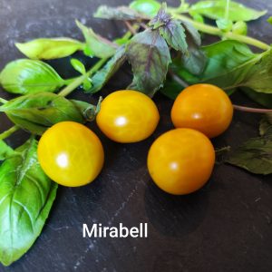 Mirabelle