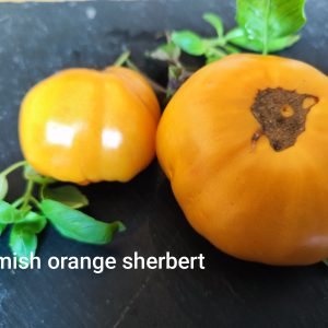 Amish orange sherbet