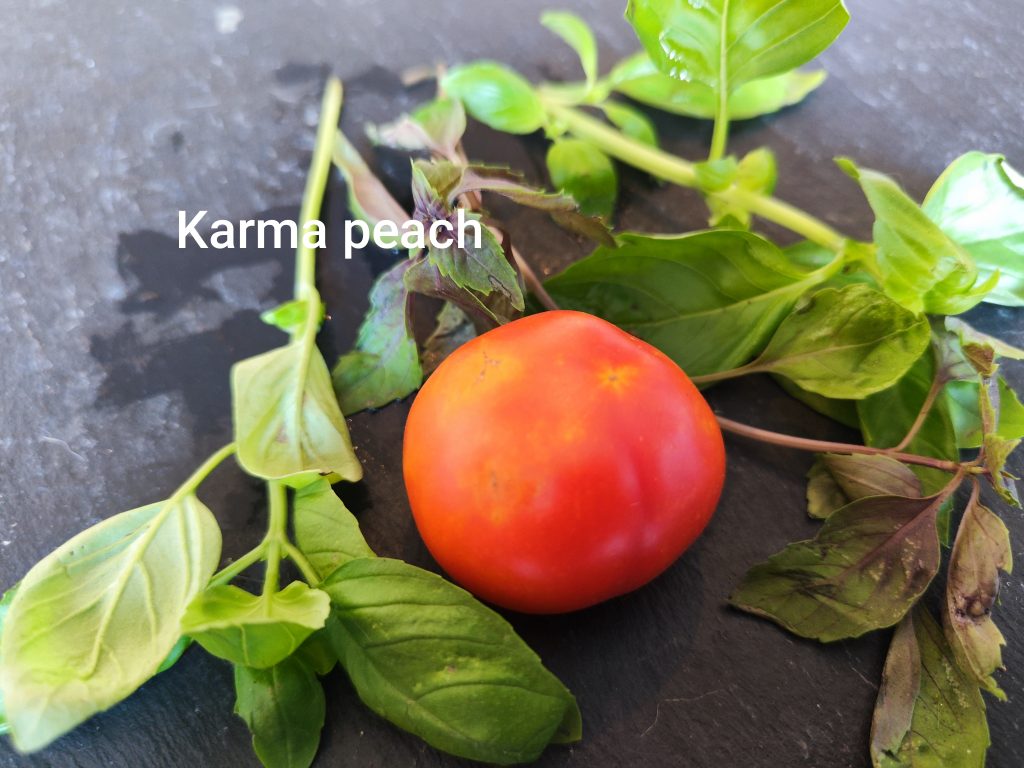 Karma peach