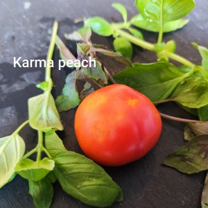 Karma peach