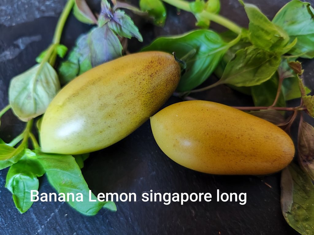 Banana lemon singapore long