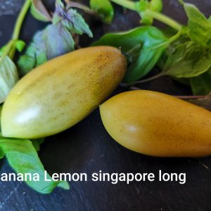 Banana lemon singapore long