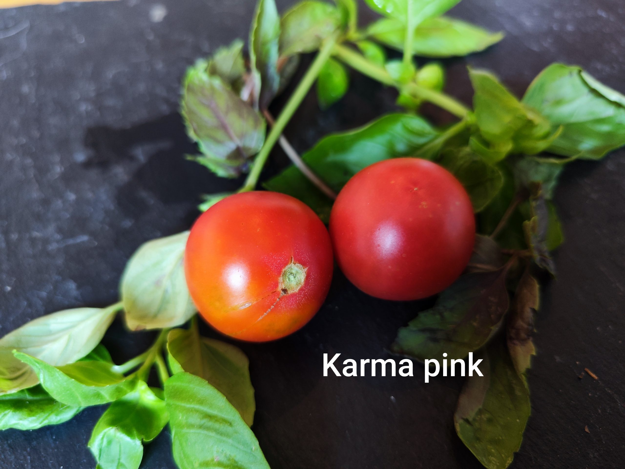 Karma pink