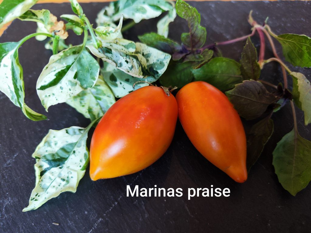 Marinas praise