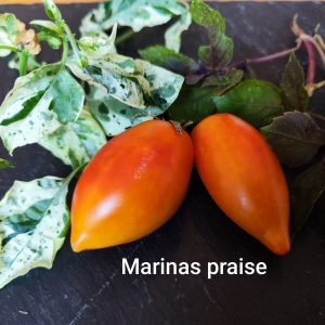 Marinas praise