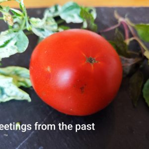 Greetings from the past