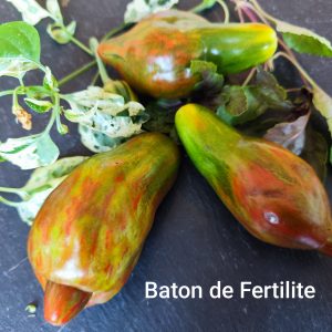Baton de Fertilite