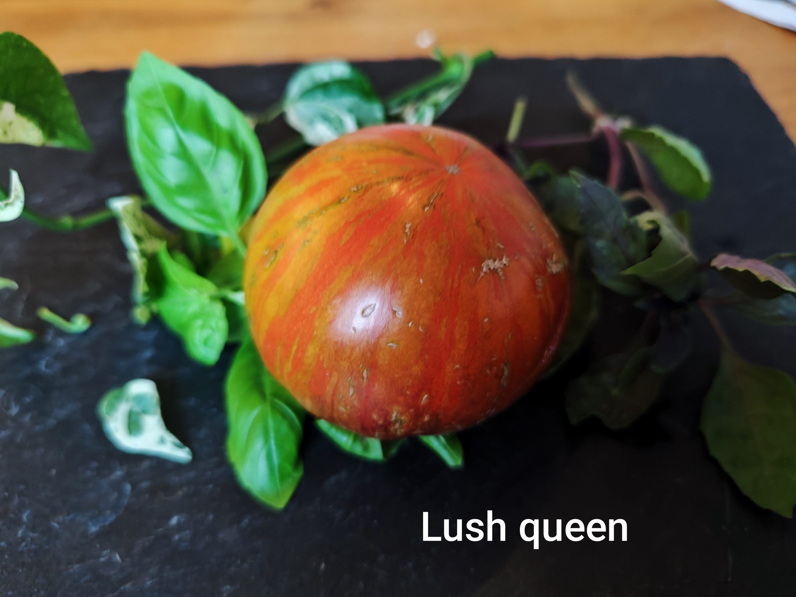Lush queen