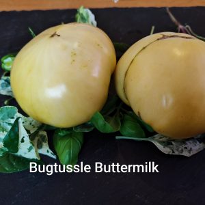 Bugtussle Buttermilk wonders