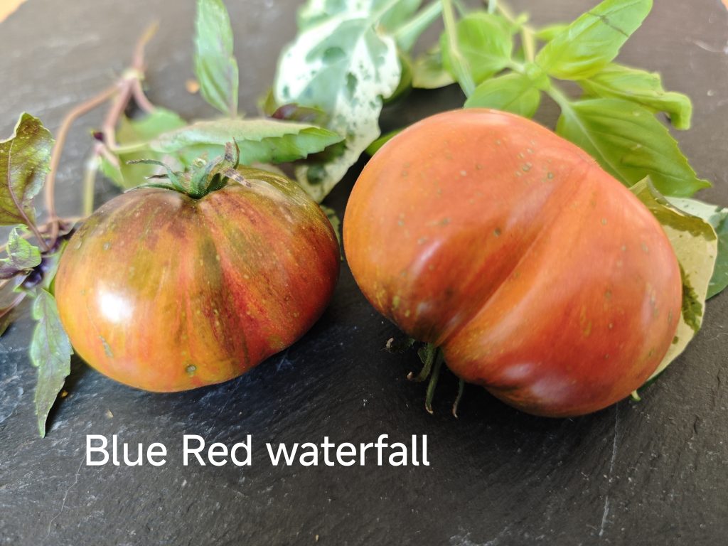 Blue red waterfall