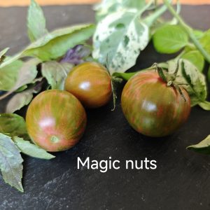 Magic Nut