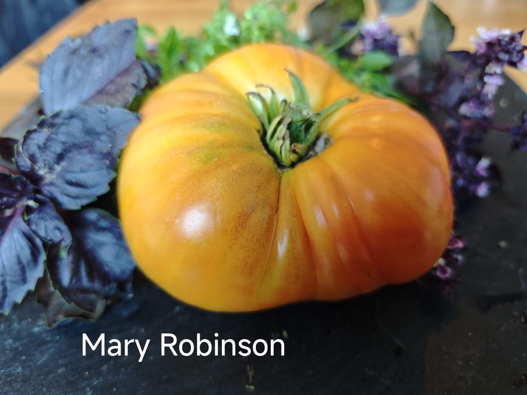 Mary Robinson