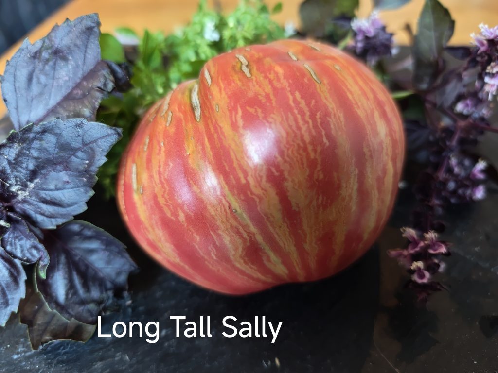 Long Tall Sally