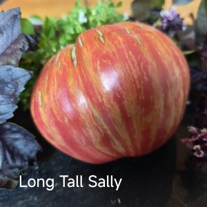Long Tall Sally