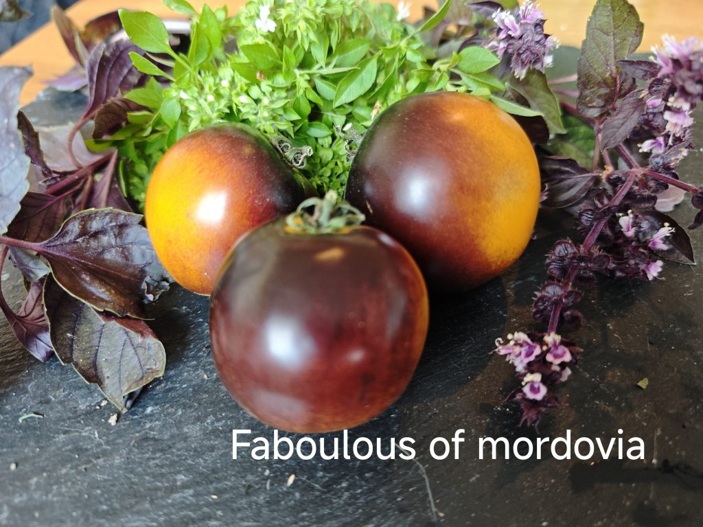Fabulous Mordovia