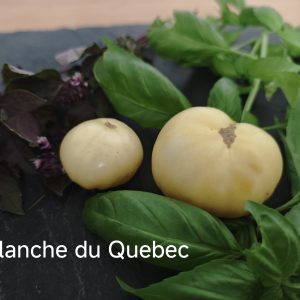 Blanche du Quebec