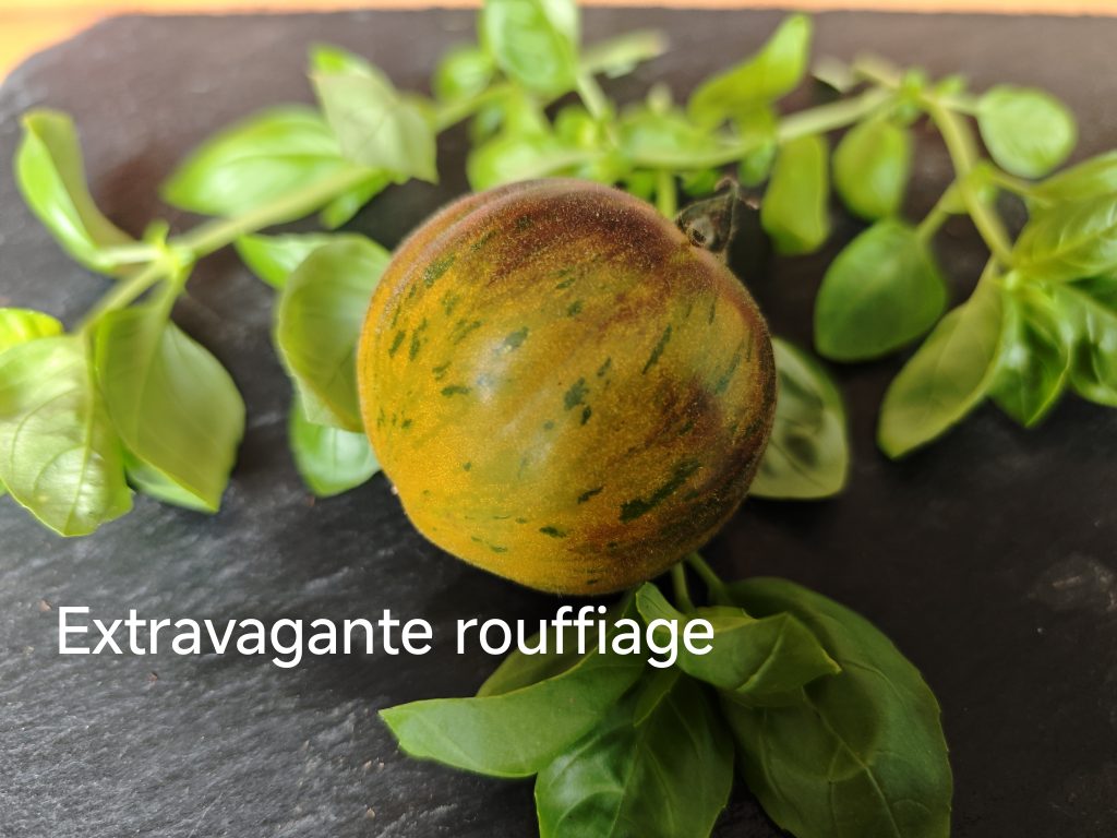 Extravagante Rouffiange