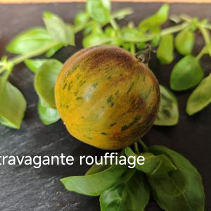 Extravagante Rouffiange