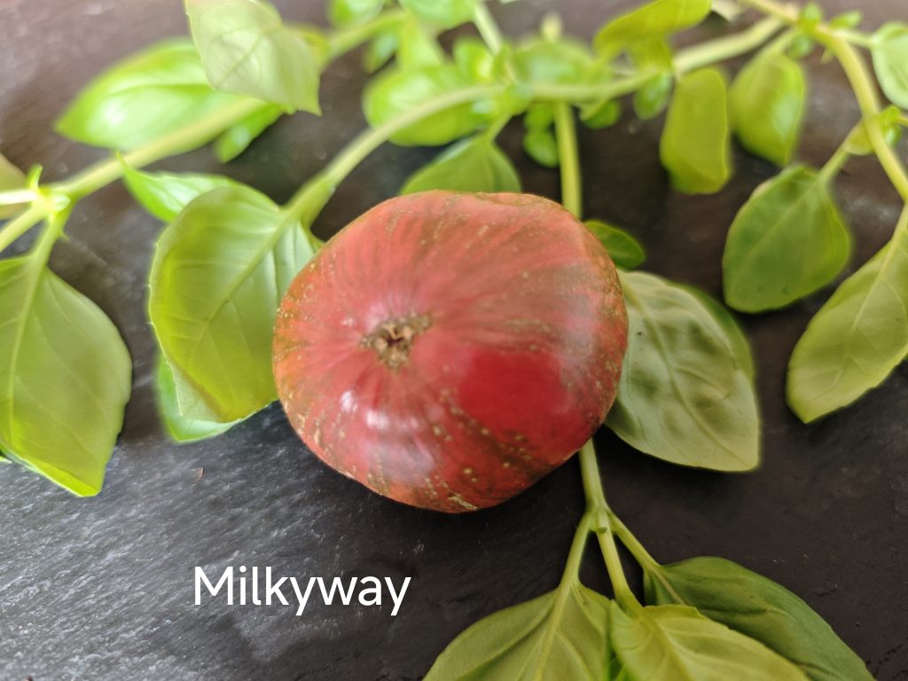Milky Way