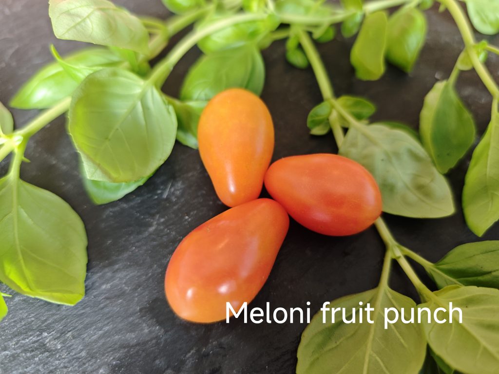 Meloni Fruit punch