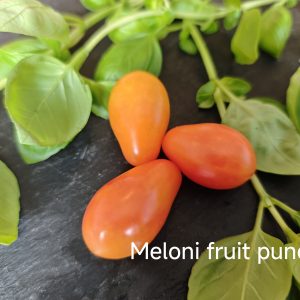 Meloni Fruit punch