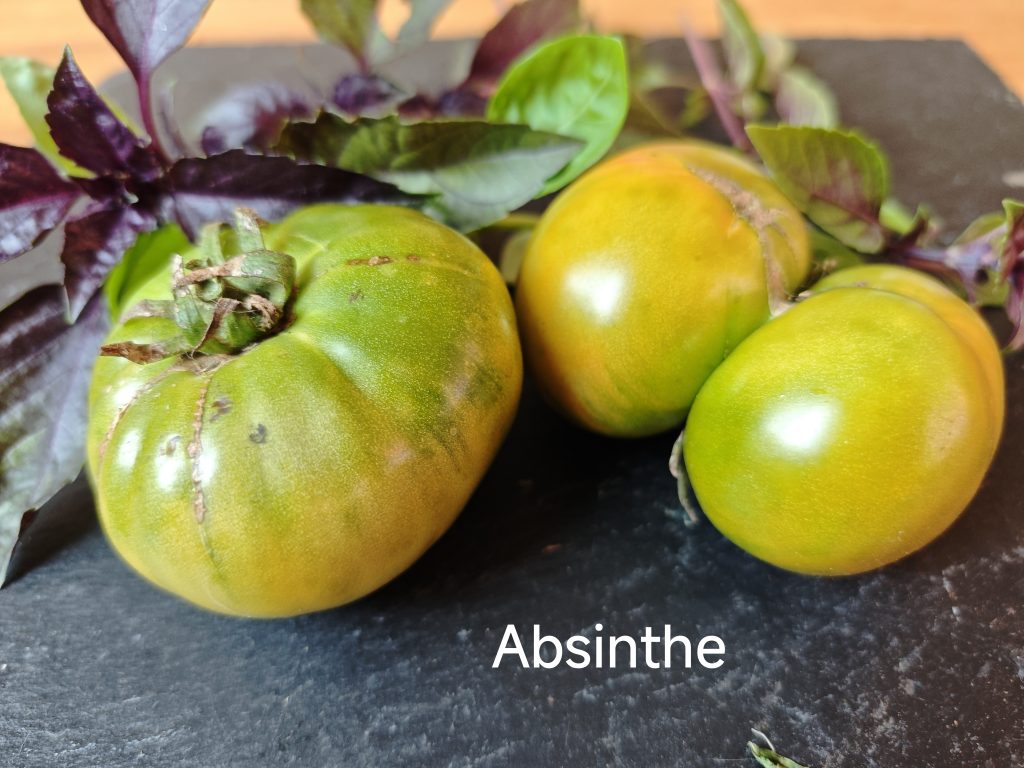 Absinthe