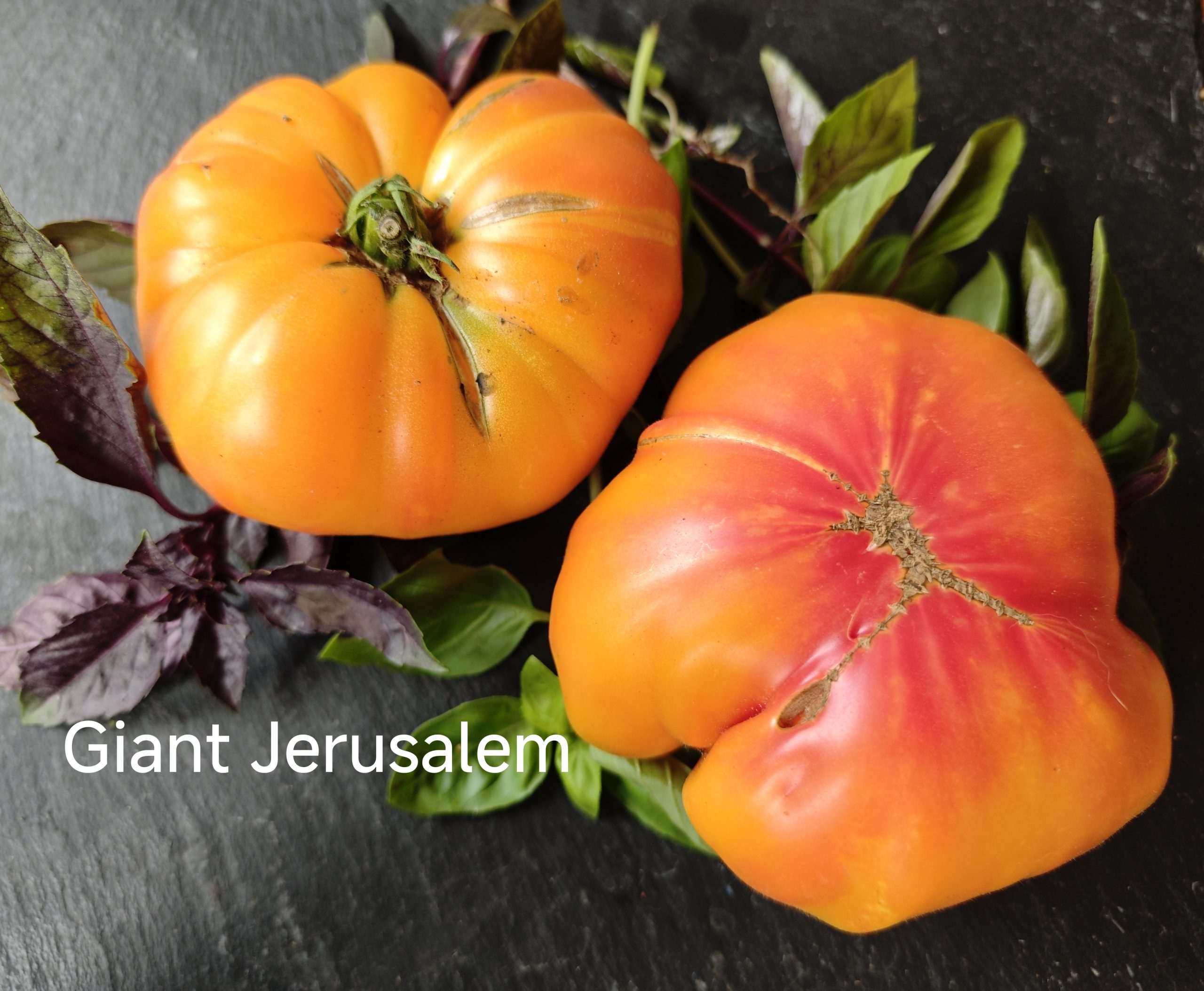 Jerusalem Giant