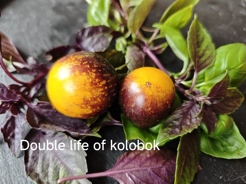 Double life of kolobok
