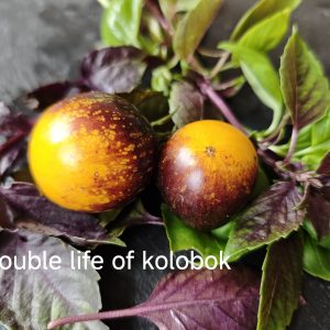 Double life of kolobok