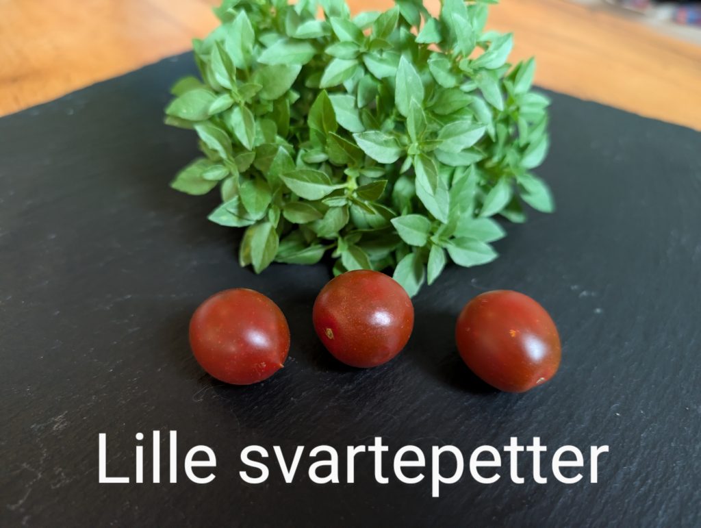 Lille svartepetter