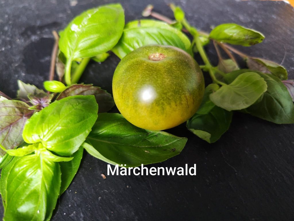 Märchenwald
