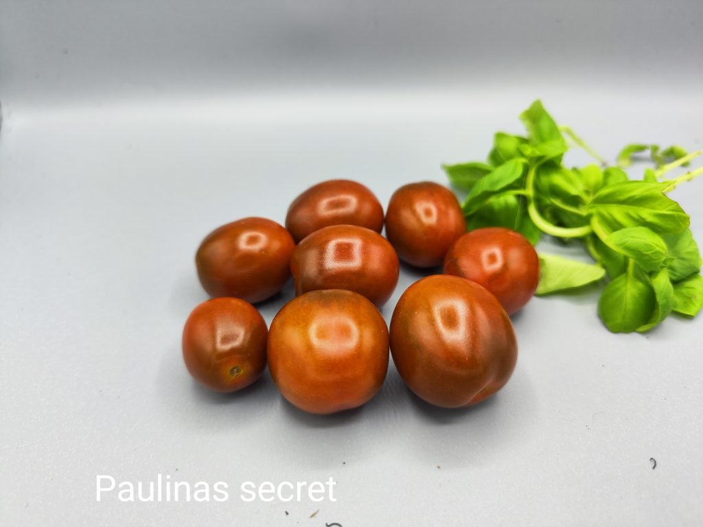 Paulinas secret