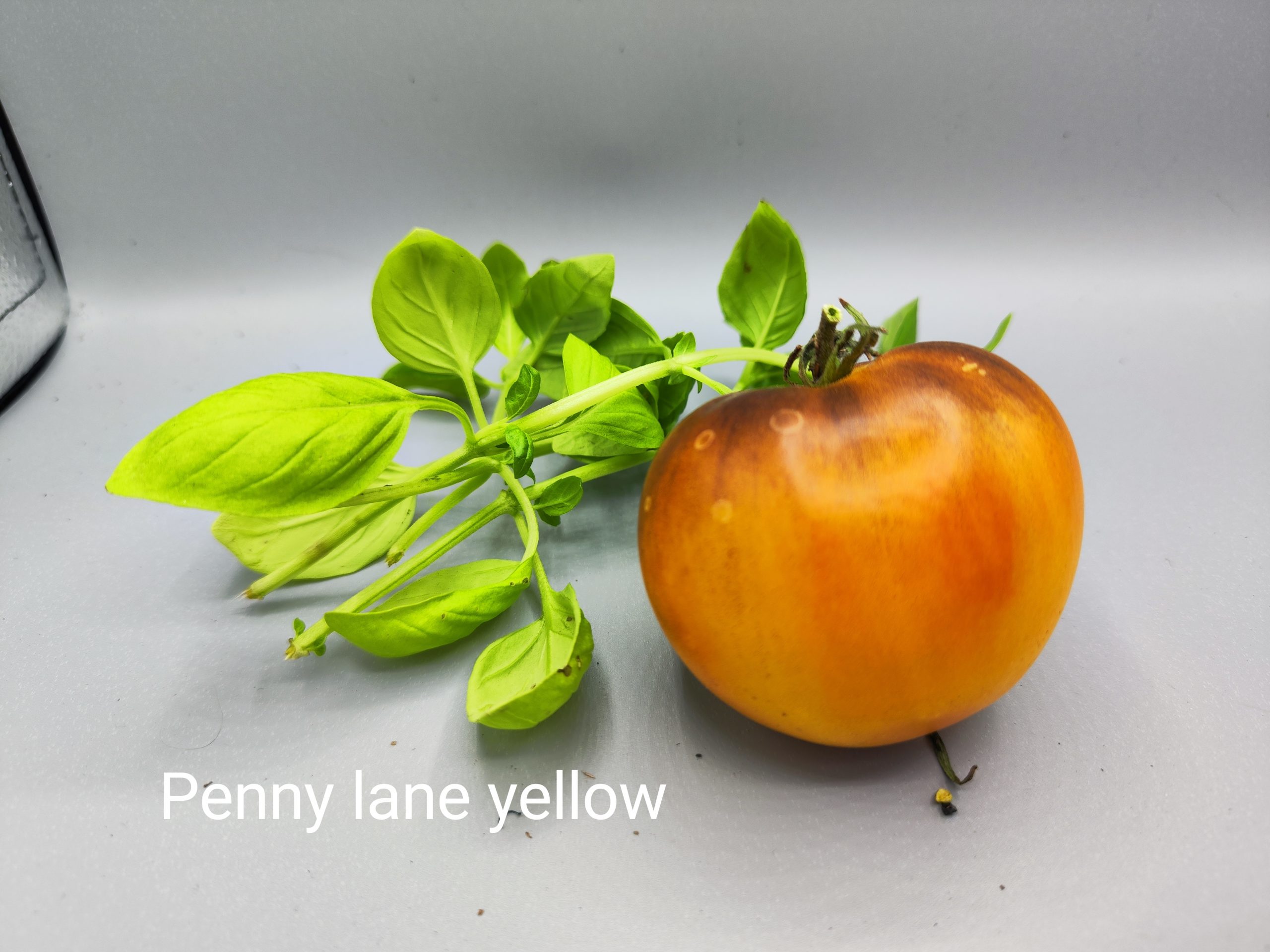 Penny lane yellow