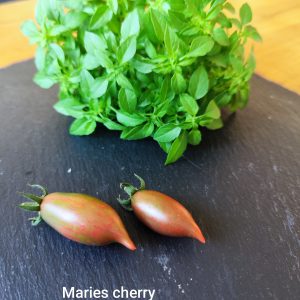Maries cherry