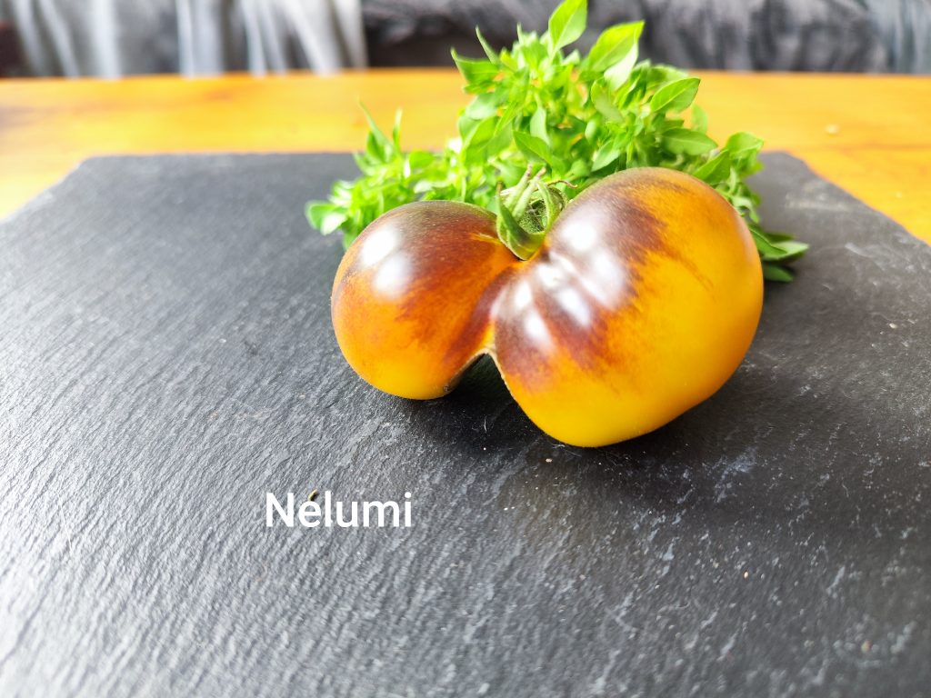 Nelumi