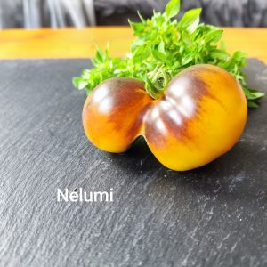 Nelumi