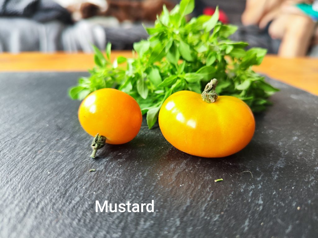 Mustard