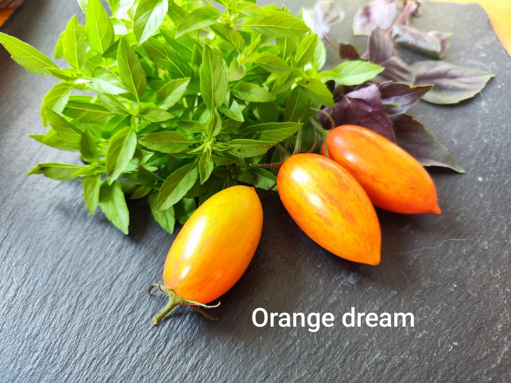 Orange Dream