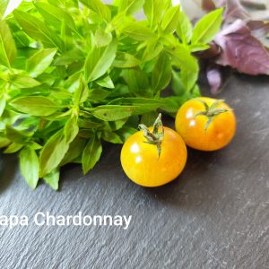 Napa chardonnay