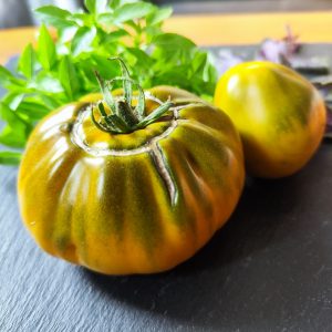 Ochra pear Jarson 13