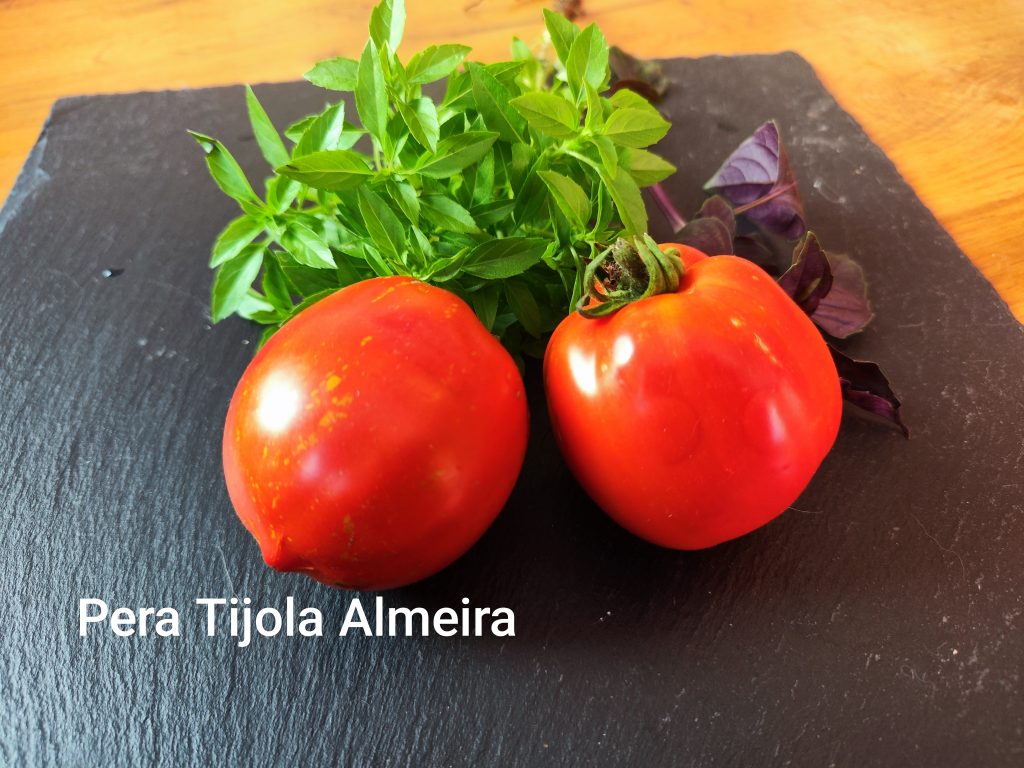 Pera Tijola Almeira
