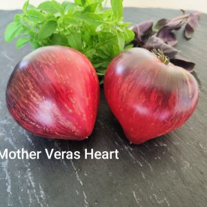 Mother Vera's Heart