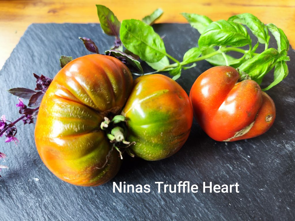 NINA'S TRUFFLE HEART