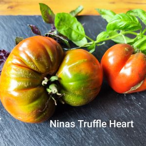 NINA'S TRUFFLE HEART