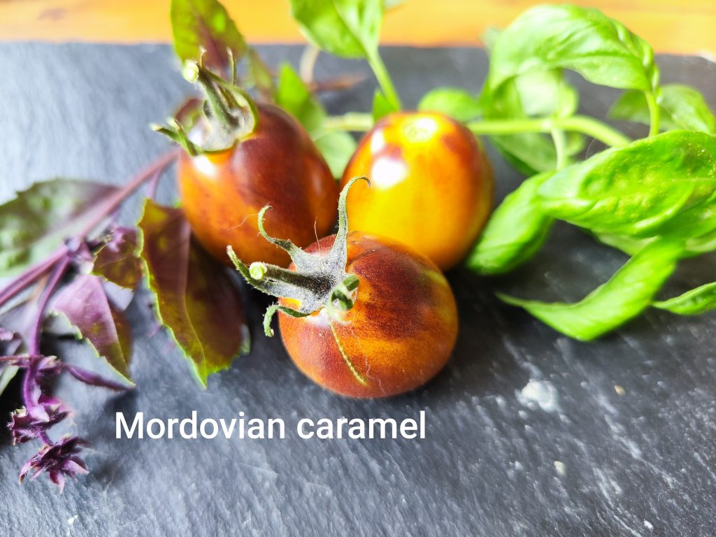 Mordovian Caramel